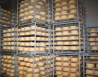 Експорт вітчизняних сирів у 2016  році просів на чверть